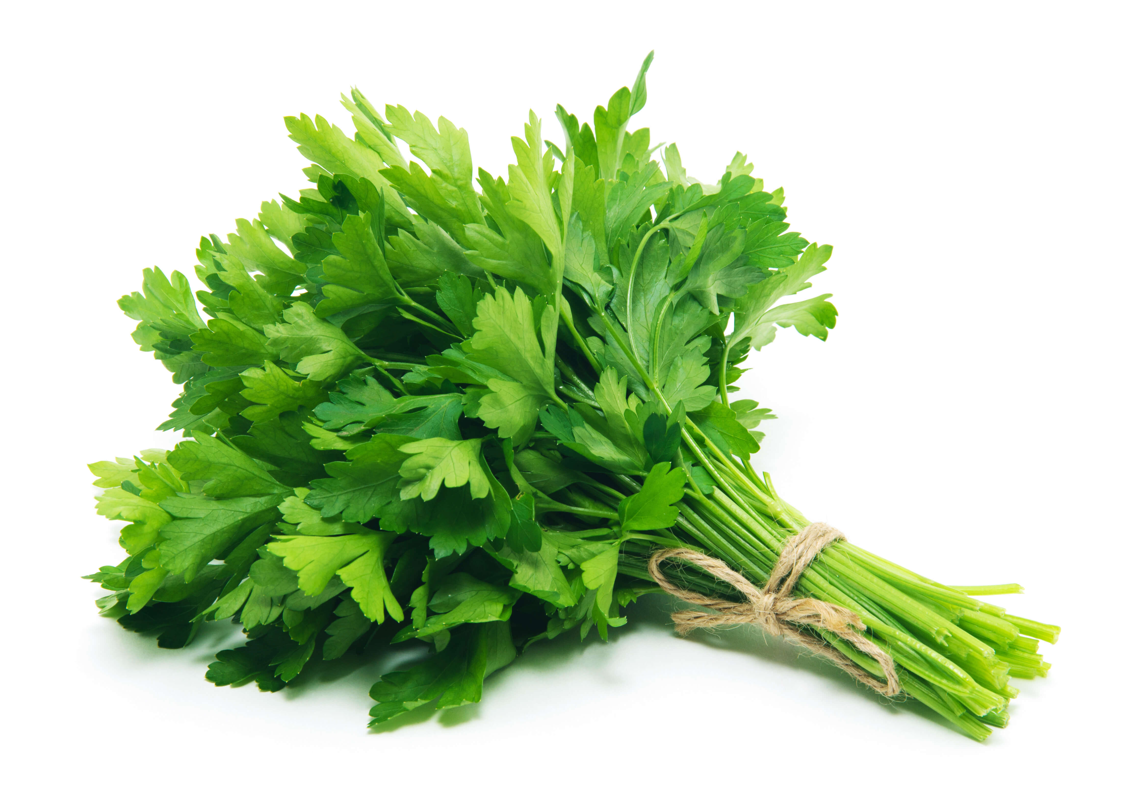 What Is The Nigerian Name For Parsley Leaf